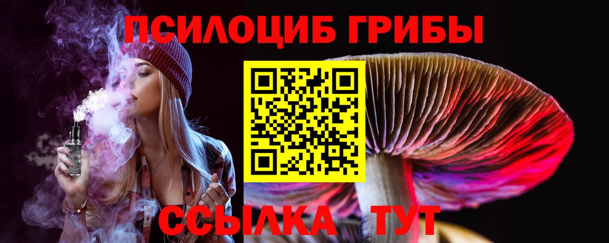 Назарово  Галлюциногенные грибы прущие грибы  Вход с VPN 